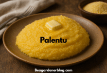 Palentu