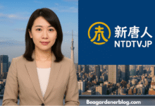 NTDTVJP