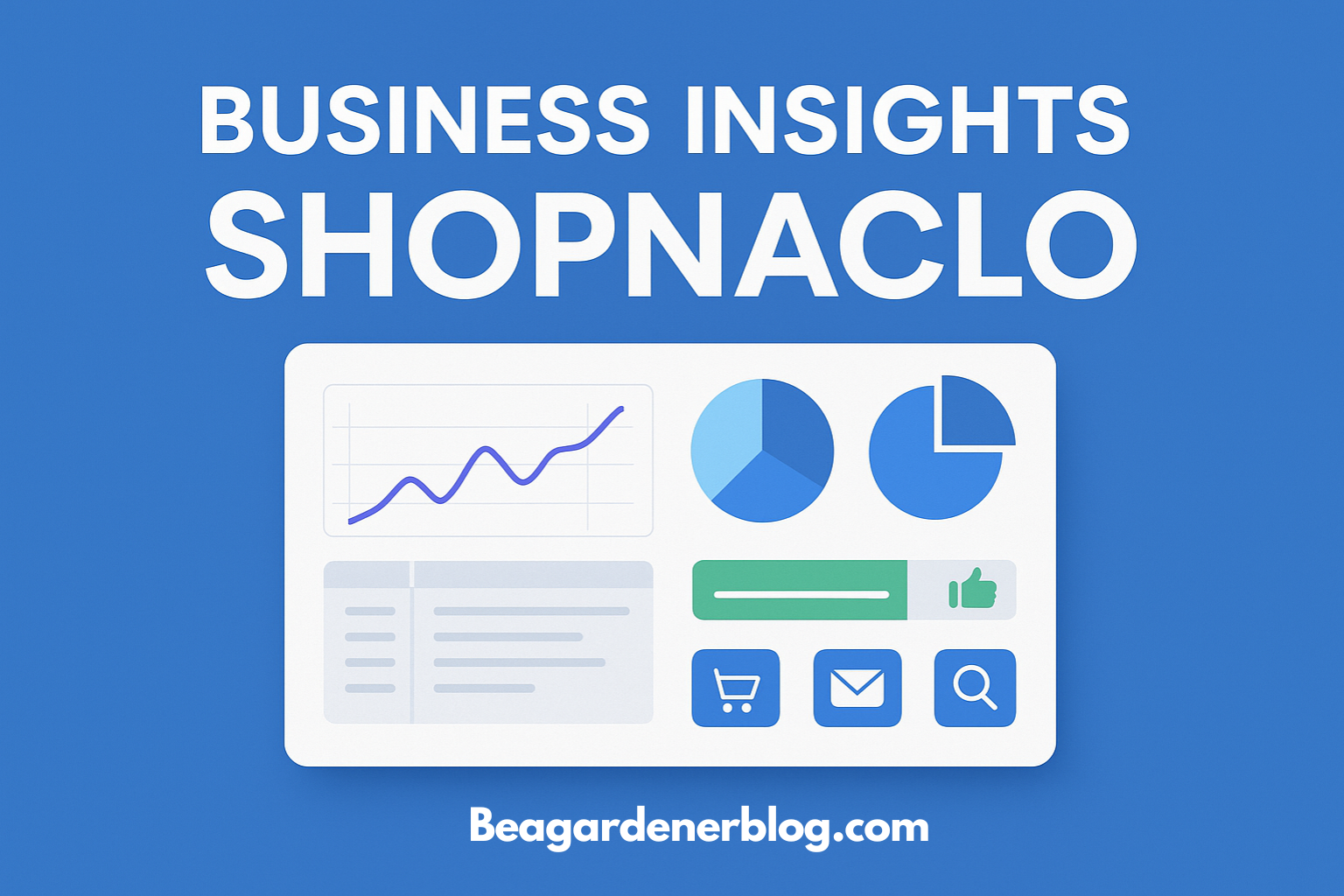 Business Insights Shopnaclo